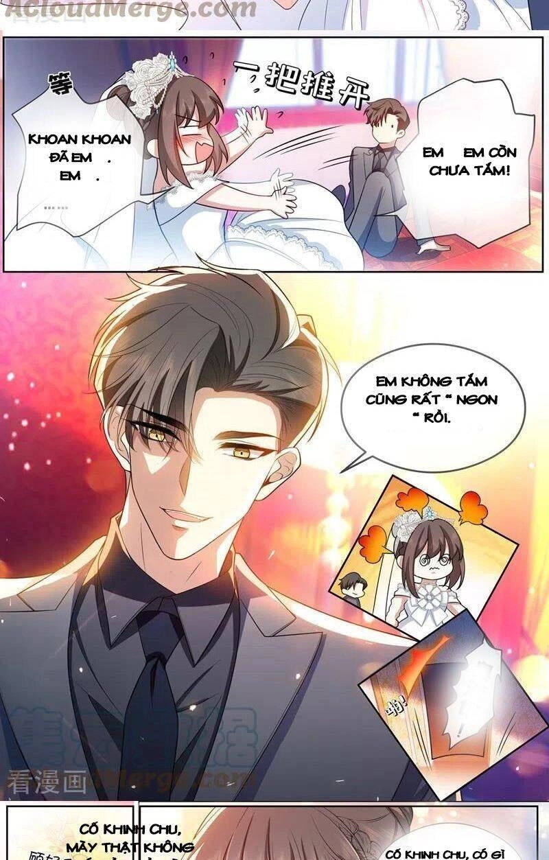 Thiếu Soái! Vợ Ngài Lại Bỏ Trốn Chapter 438 - 5