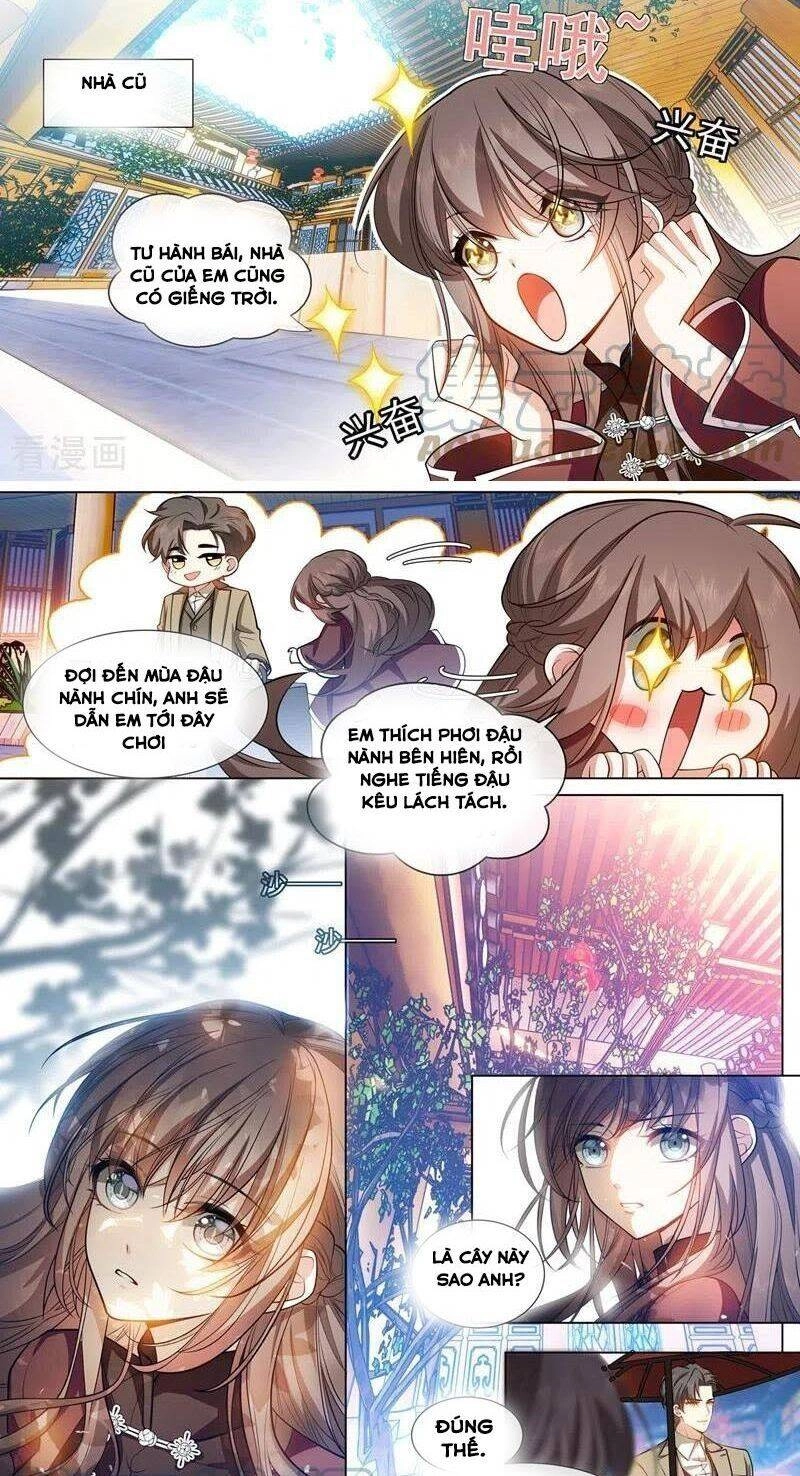 Thiếu Soái! Vợ Ngài Lại Bỏ Trốn Chapter 440 - 6