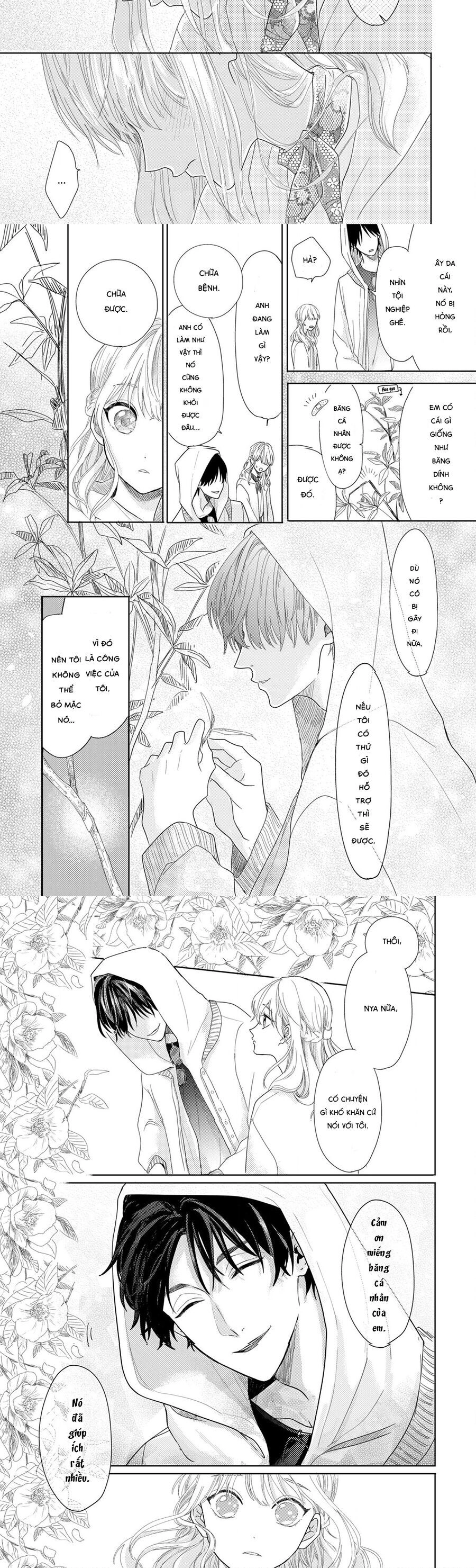 Hoa Trà Đợi Xuân Nở Yêu Thương Chapter 1 - 12
