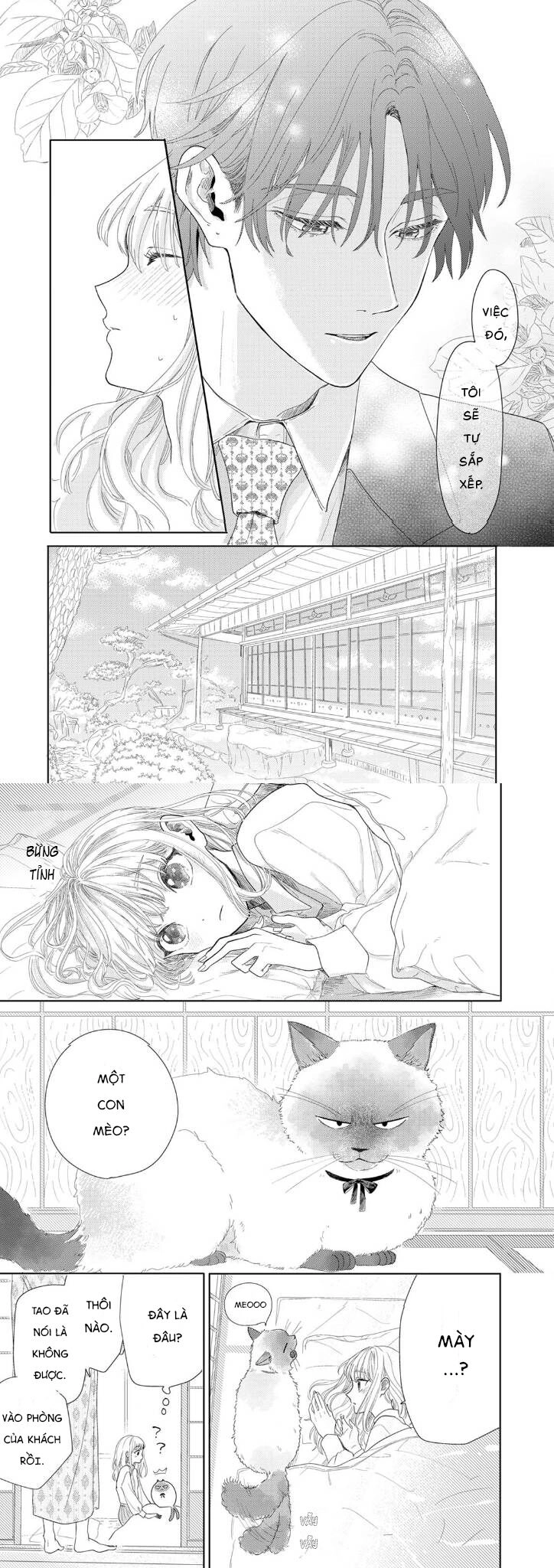 Hoa Trà Đợi Xuân Nở Yêu Thương Chapter 2 - 16