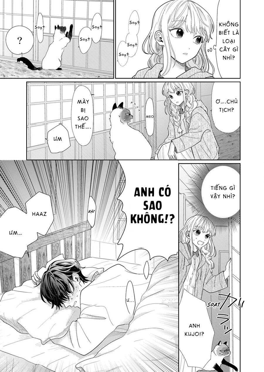 Hoa Trà Đợi Xuân Nở Yêu Thương Chapter 4 - 25