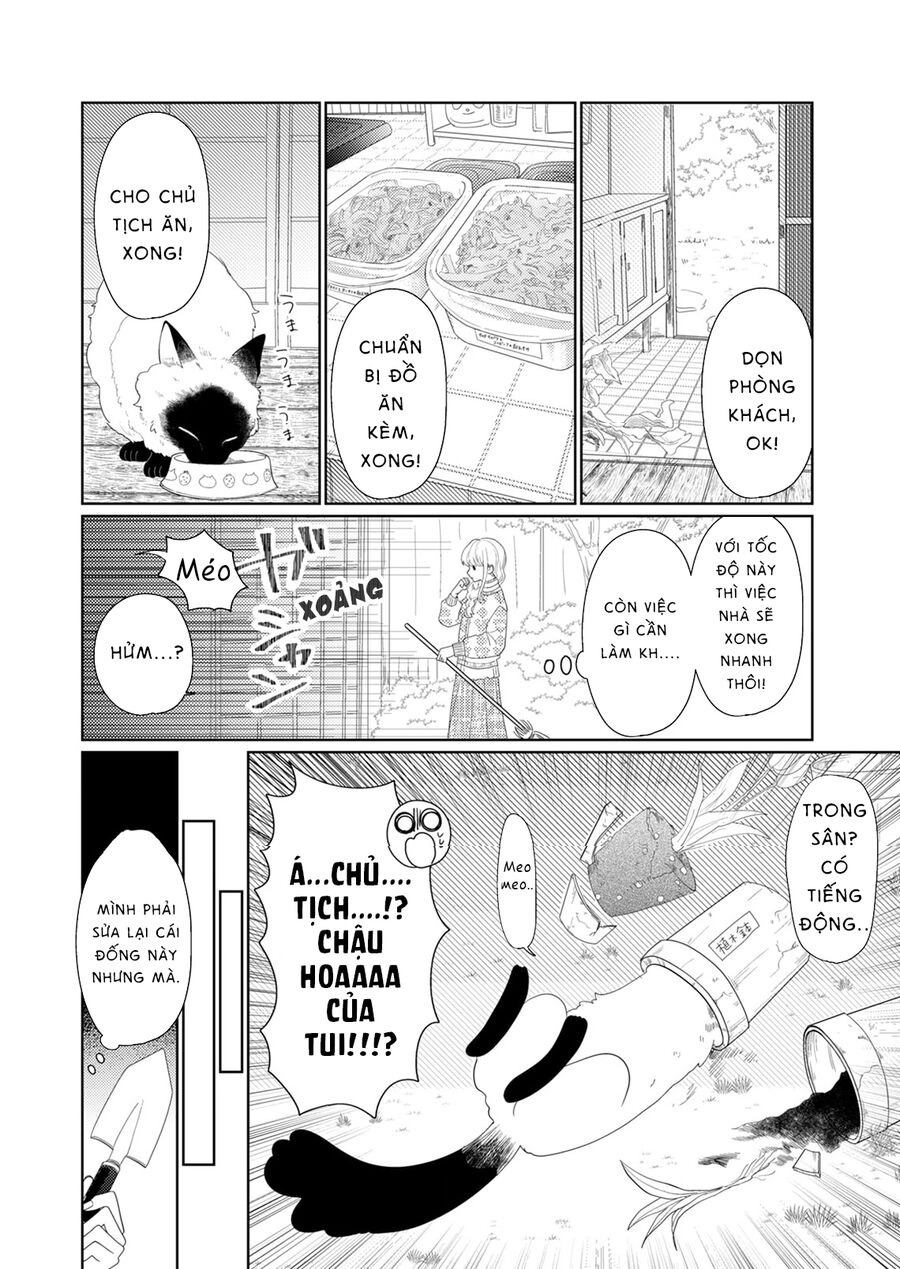 Hoa Trà Đợi Xuân Nở Yêu Thương Chapter 6 - 15