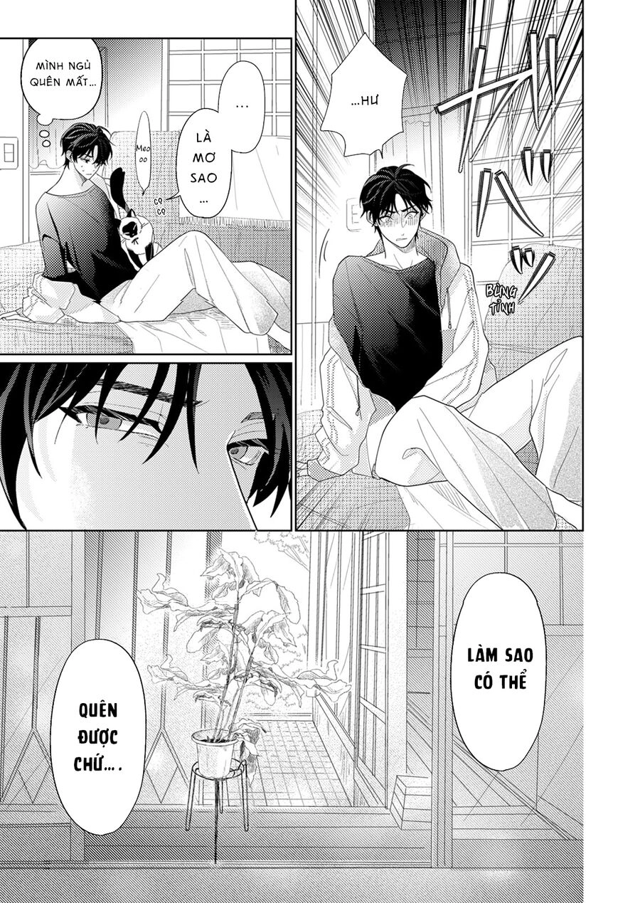 Hoa Trà Đợi Xuân Nở Yêu Thương Chapter 9 - 13