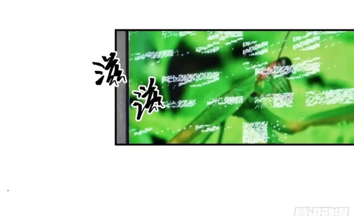 Dị Năng Trùng Sinh Ta Mang Theo Hàng Tỷ Tinh Cầu Vỡ Vụn Lập Thành Bá Nghiệp Chapter 11 - 2