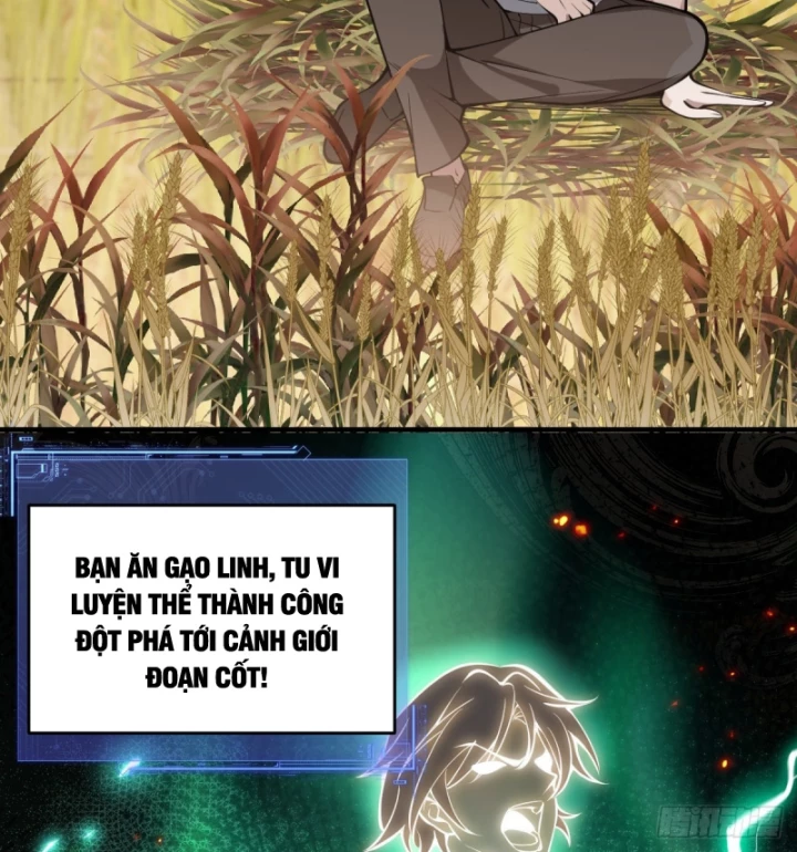 Người Khác Luyện Cấp Ta Tu Tiên, Tới Đại Thừa Kỳ Thì Rời Núi Chapter 9 - 8