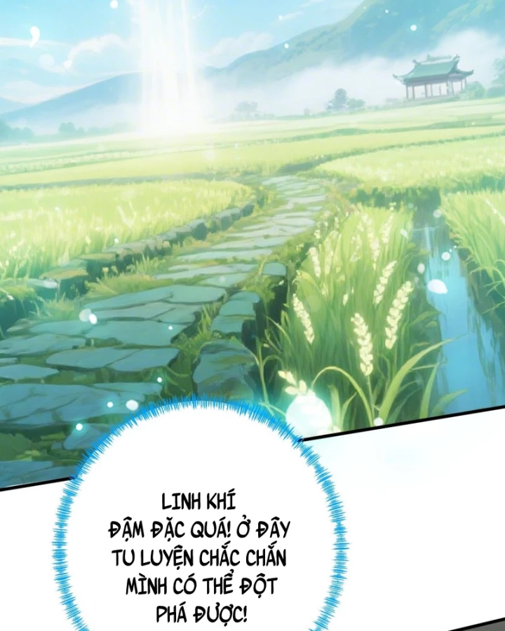 Người Khác Luyện Cấp Ta Tu Tiên, Tới Đại Thừa Kỳ Thì Rời Núi Chapter 10 - 14