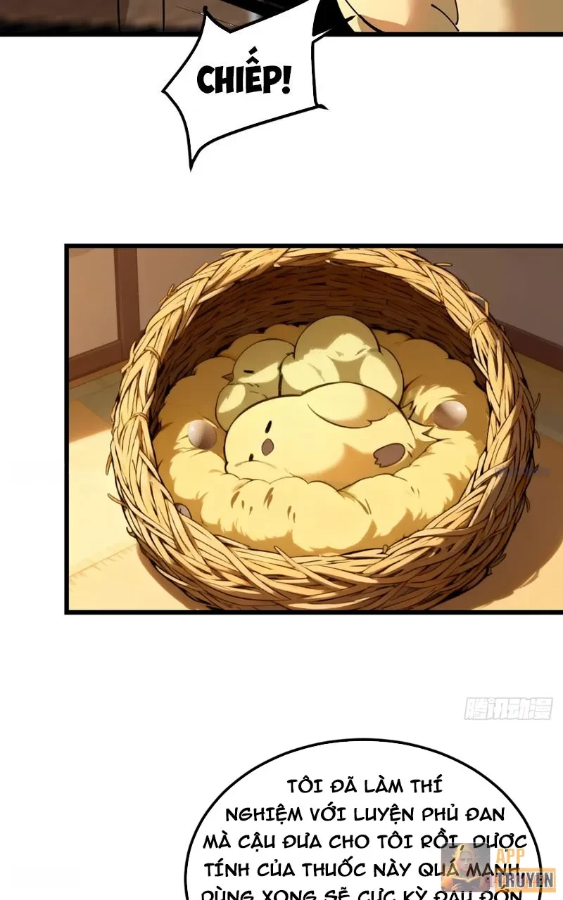 Người Khác Luyện Cấp Ta Tu Tiên, Tới Đại Thừa Kỳ Thì Rời Núi Chapter 16 - 49