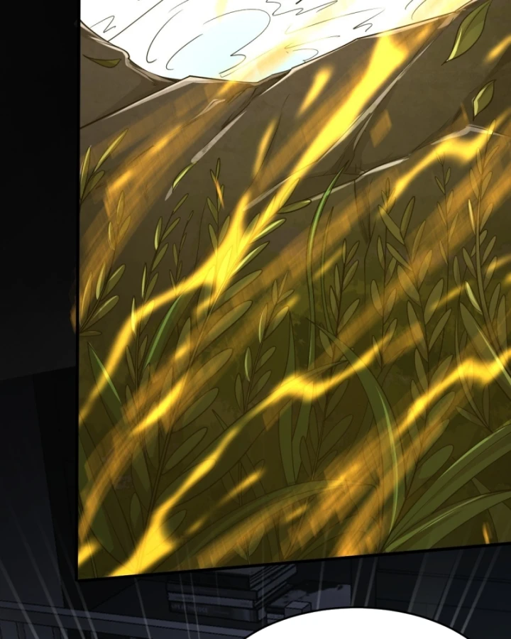 Người Khác Luyện Cấp Ta Tu Tiên, Tới Đại Thừa Kỳ Thì Rời Núi Chapter 17 - 96