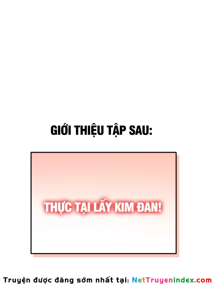 Người Khác Luyện Cấp Ta Tu Tiên, Tới Đại Thừa Kỳ Thì Rời Núi Chapter 17 - 100