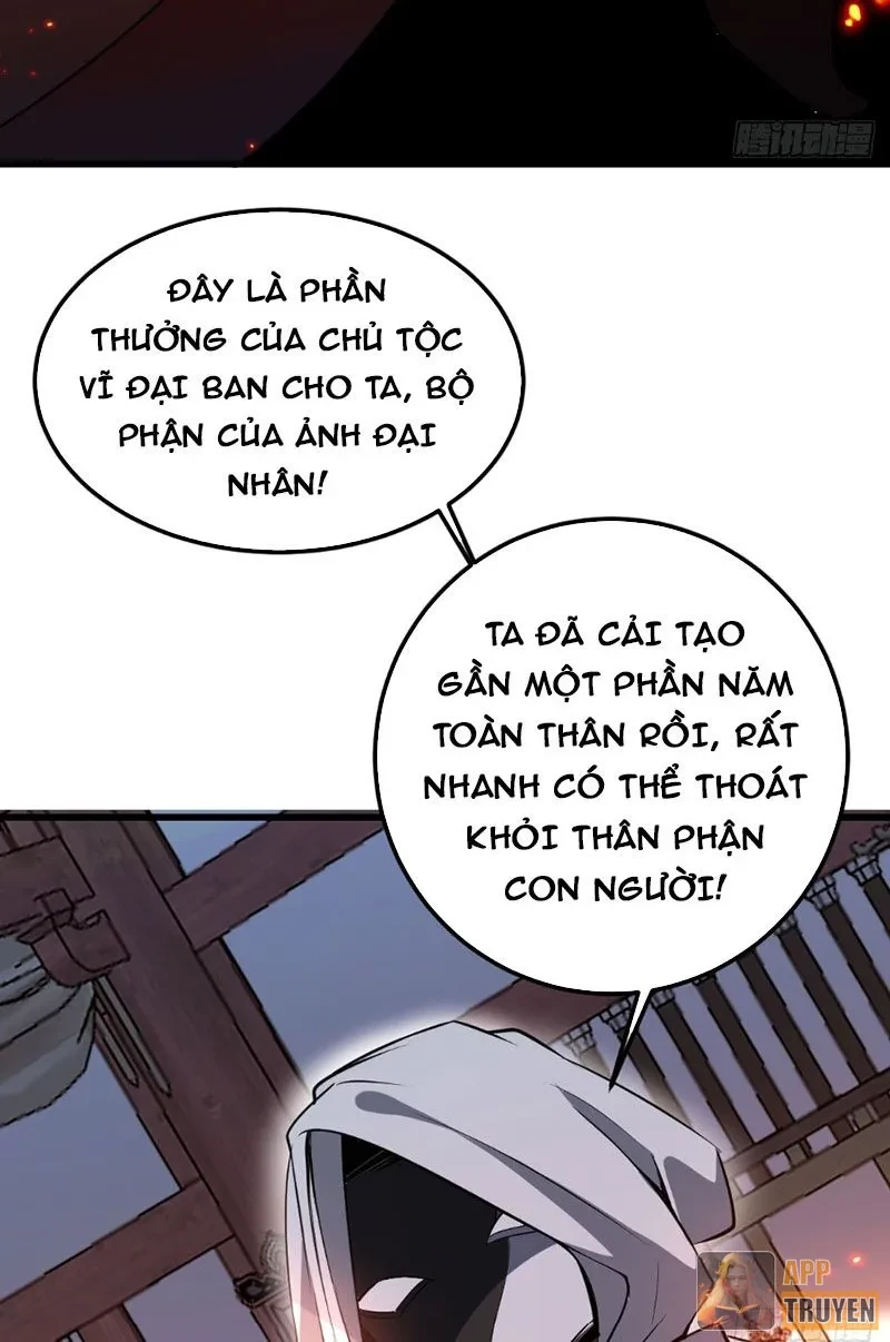 Người Khác Luyện Cấp Ta Tu Tiên, Tới Đại Thừa Kỳ Thì Rời Núi Chapter 19 - 74