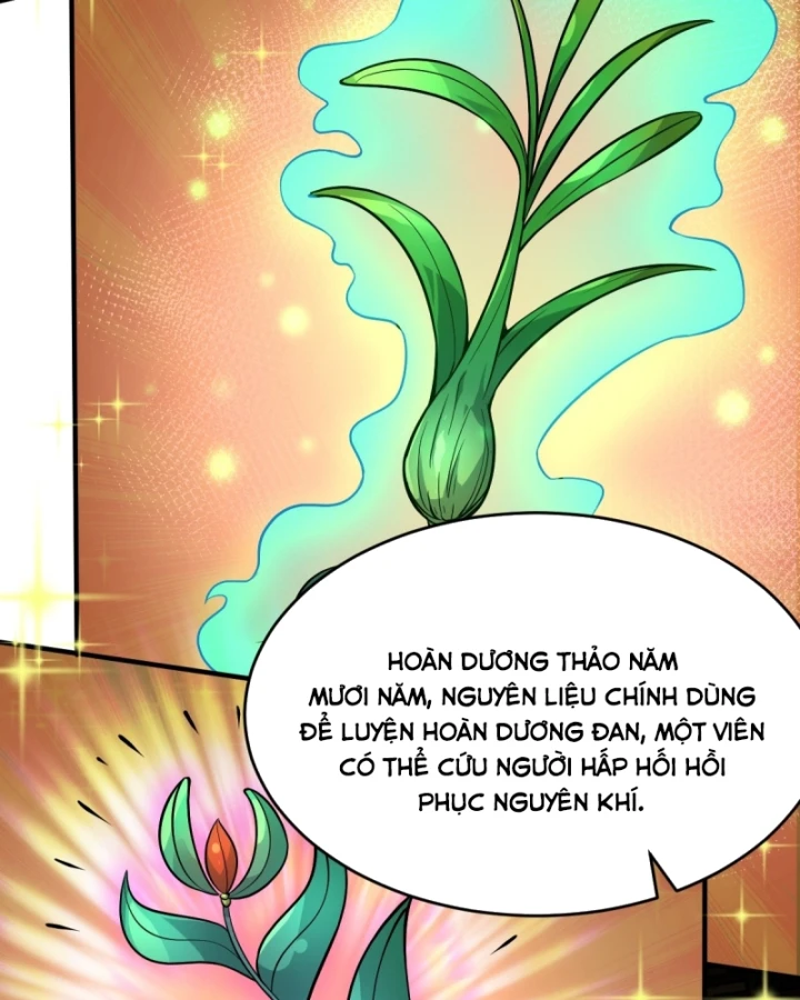 Người Khác Luyện Cấp Ta Tu Tiên, Tới Đại Thừa Kỳ Thì Rời Núi Chapter 20 - 61