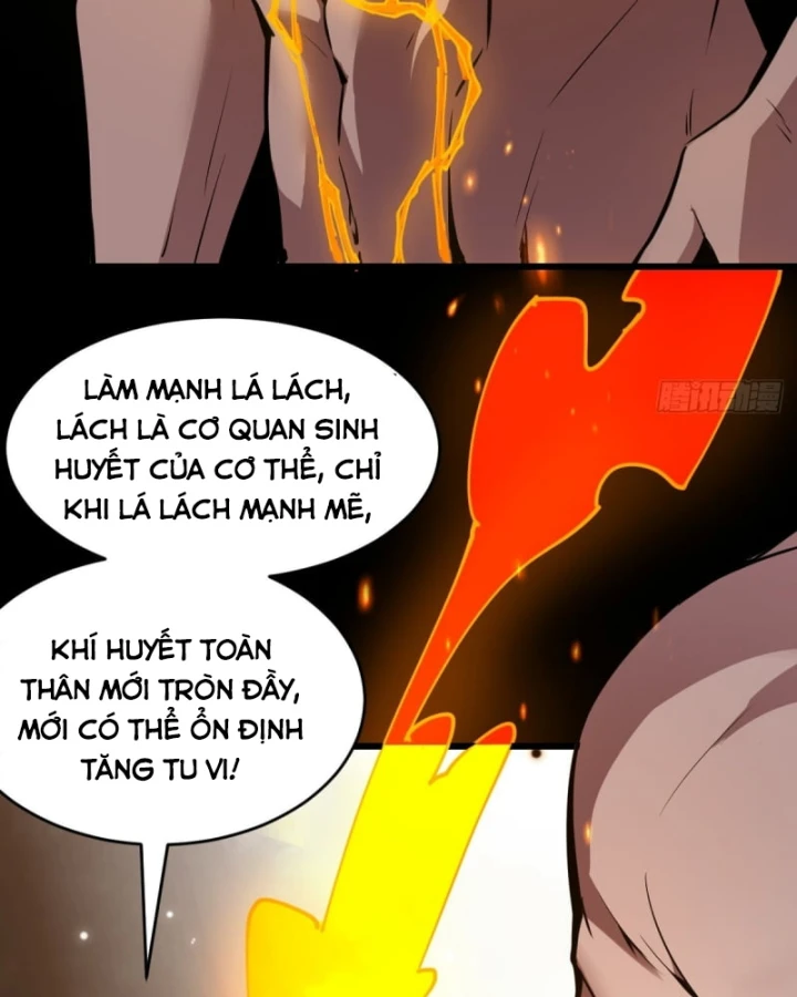 Người Khác Luyện Cấp Ta Tu Tiên, Tới Đại Thừa Kỳ Thì Rời Núi Chapter 23 - 13