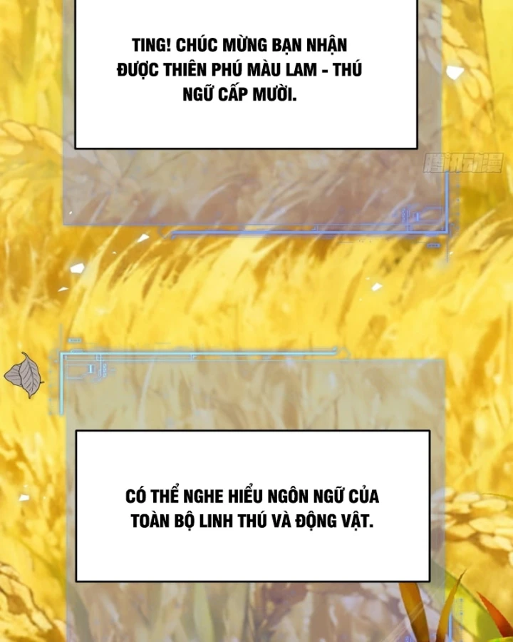 Người Khác Luyện Cấp Ta Tu Tiên, Tới Đại Thừa Kỳ Thì Rời Núi Chapter 23 - 40