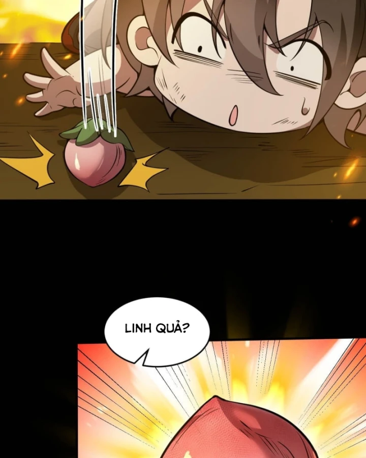 Người Khác Luyện Cấp Ta Tu Tiên, Tới Đại Thừa Kỳ Thì Rời Núi Chapter 24 - 51