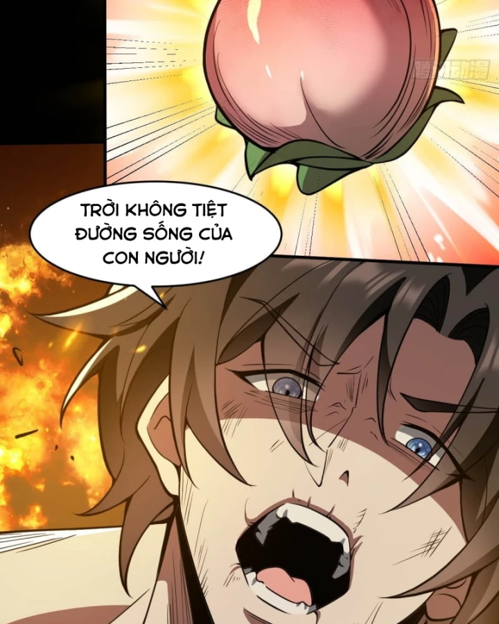 Người Khác Luyện Cấp Ta Tu Tiên, Tới Đại Thừa Kỳ Thì Rời Núi Chapter 24 - 52