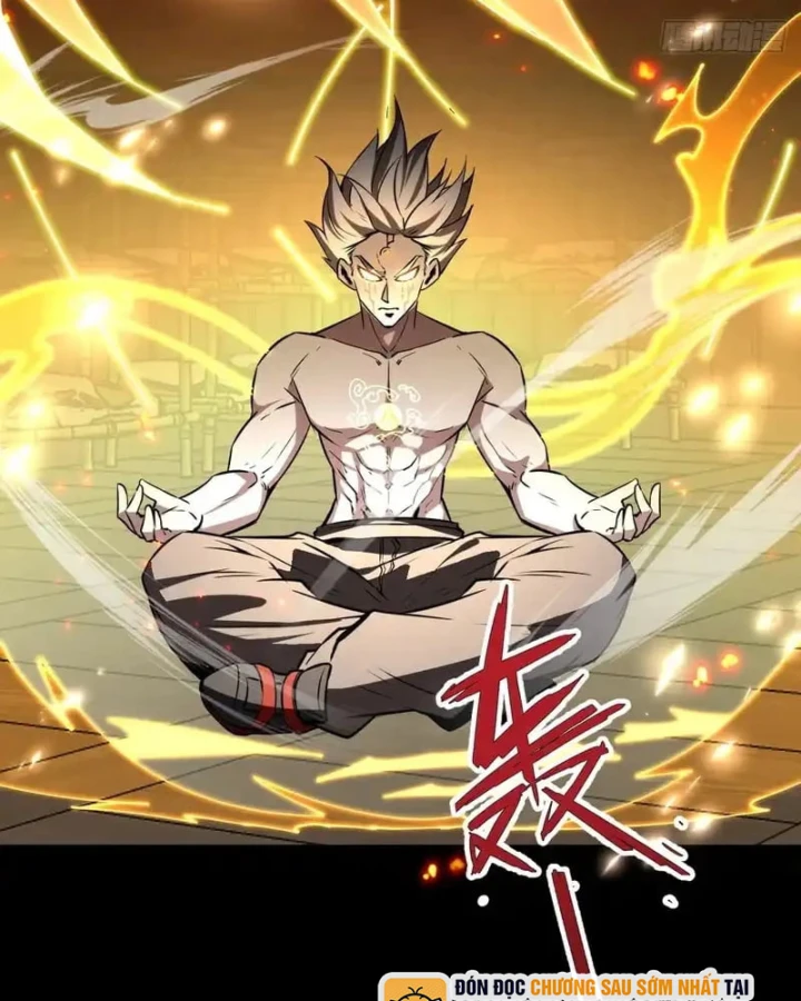 Người Khác Luyện Cấp Ta Tu Tiên, Tới Đại Thừa Kỳ Thì Rời Núi Chapter 25 - 83