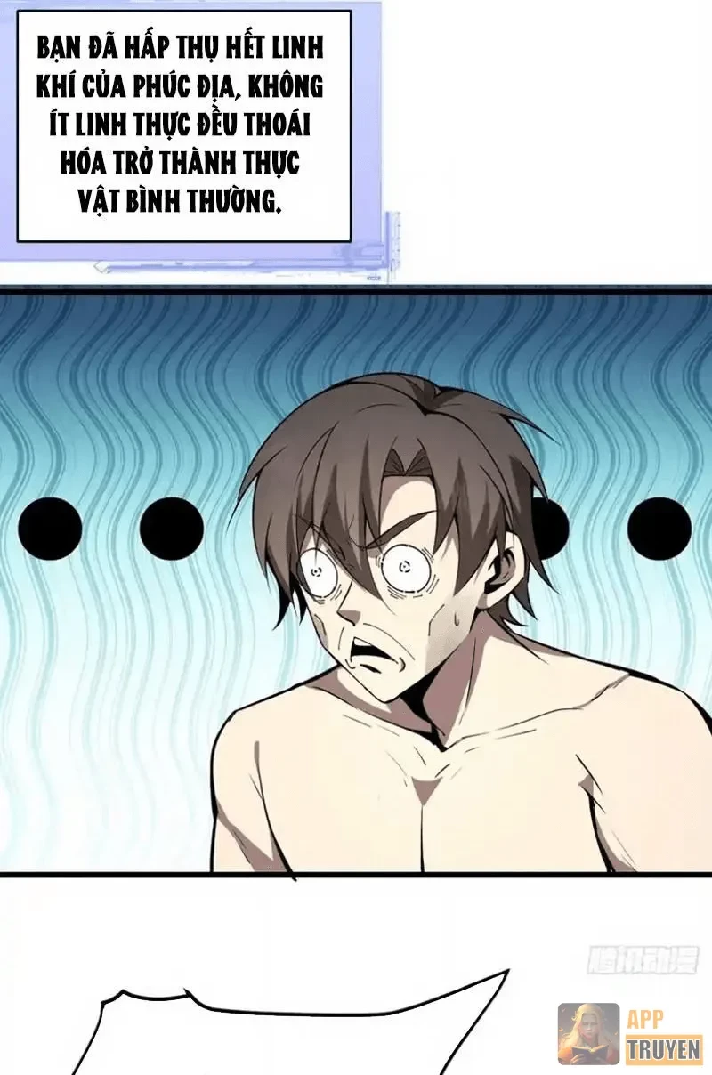 Người Khác Luyện Cấp Ta Tu Tiên, Tới Đại Thừa Kỳ Thì Rời Núi Chapter 28 - 62