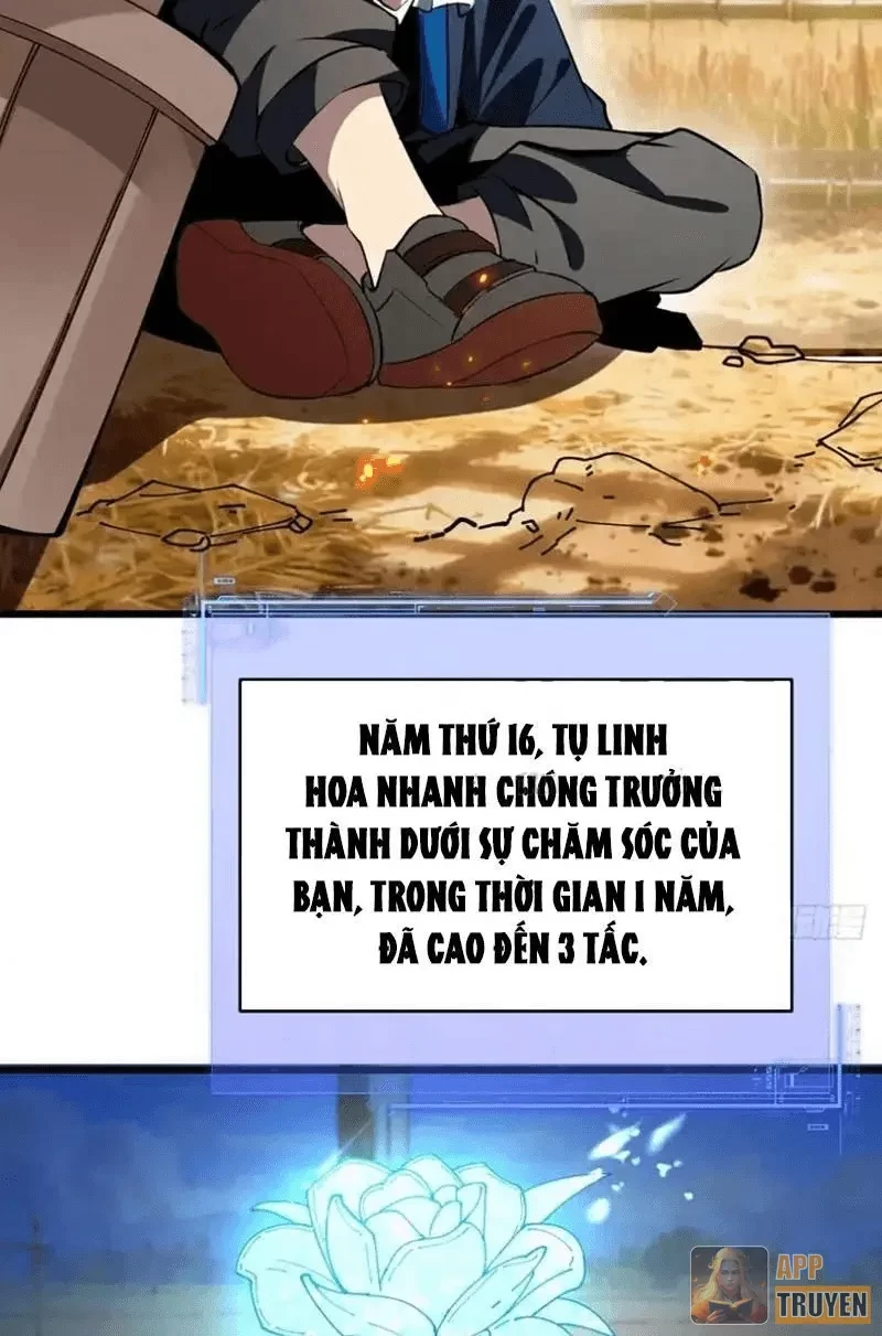 Người Khác Luyện Cấp Ta Tu Tiên, Tới Đại Thừa Kỳ Thì Rời Núi Chapter 28 - 74