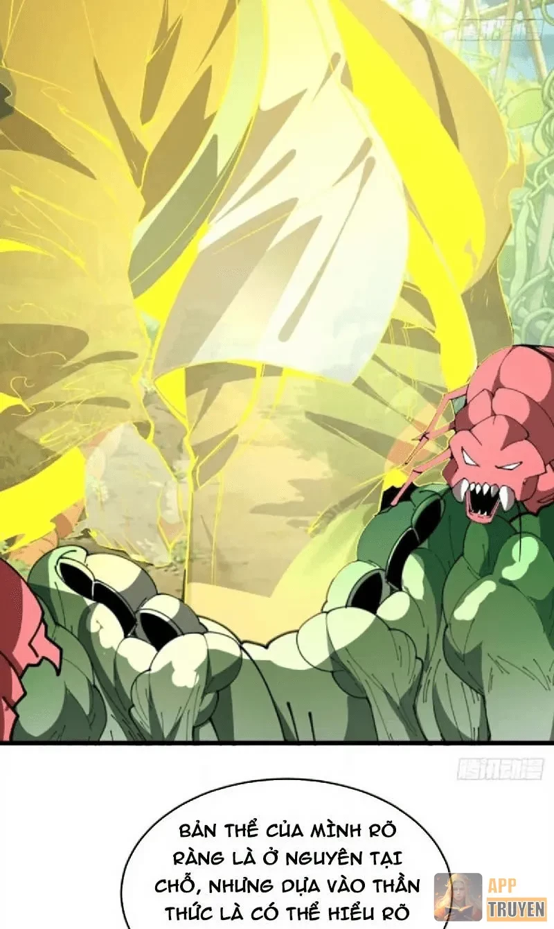 Người Khác Luyện Cấp Ta Tu Tiên, Tới Đại Thừa Kỳ Thì Rời Núi Chapter 30 - 50