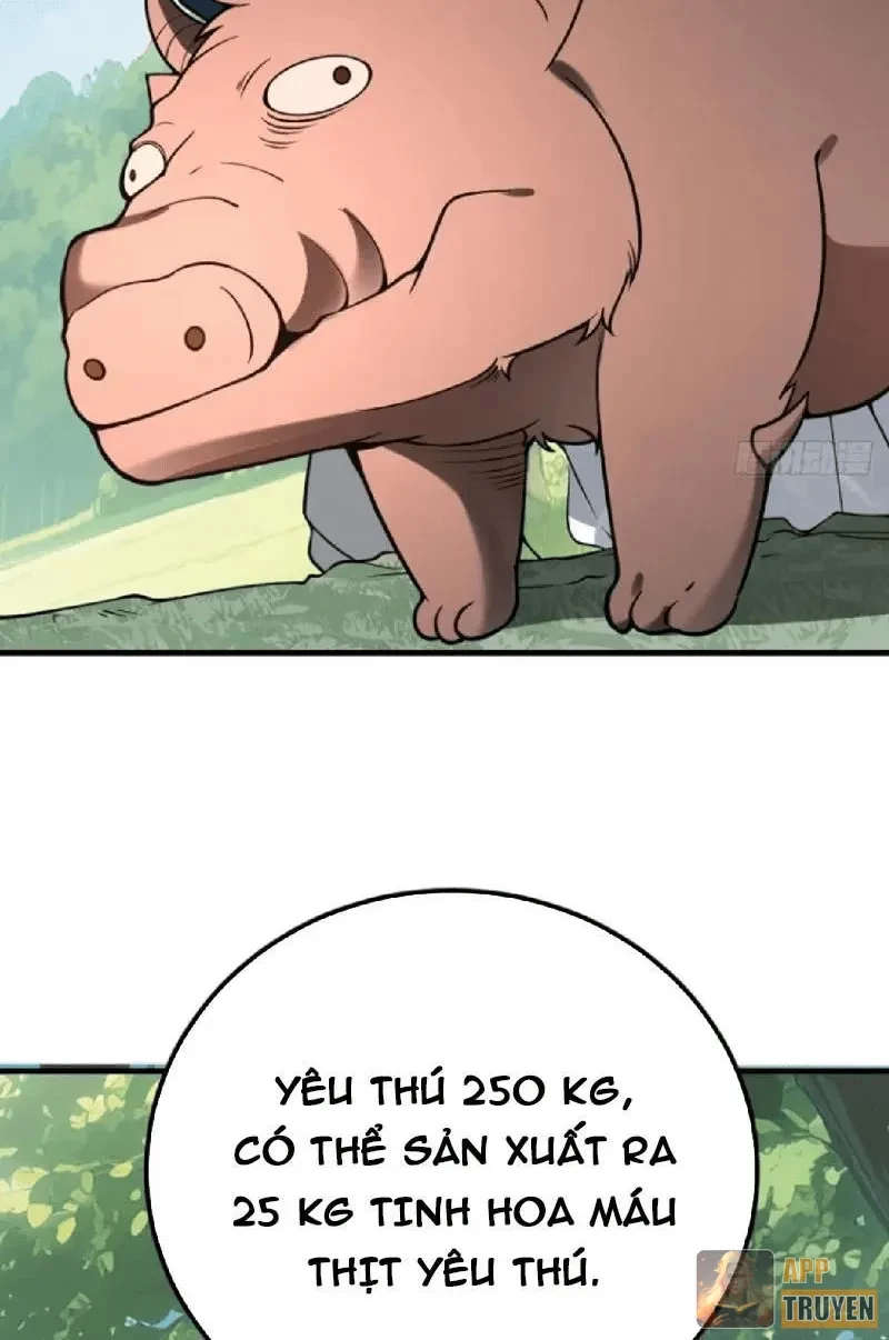 Người Khác Luyện Cấp Ta Tu Tiên, Tới Đại Thừa Kỳ Thì Rời Núi Chapter 32 - 52