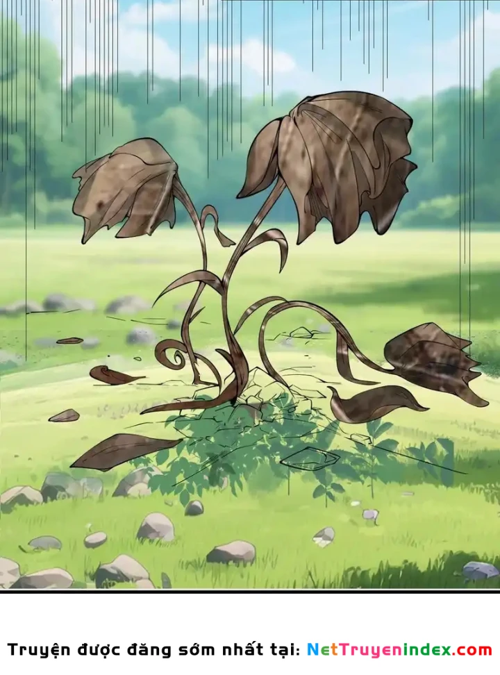 Người Khác Luyện Cấp Ta Tu Tiên, Tới Đại Thừa Kỳ Thì Rời Núi Chapter 34 - 29