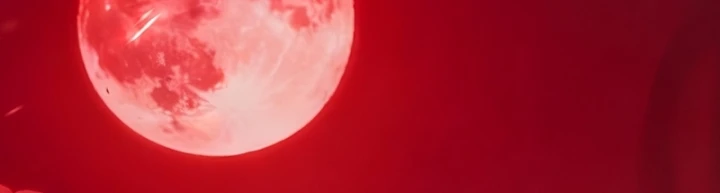 Người Khác Luyện Cấp Ta Tu Tiên, Tới Đại Thừa Kỳ Thì Rời Núi Chapter 46 - 70