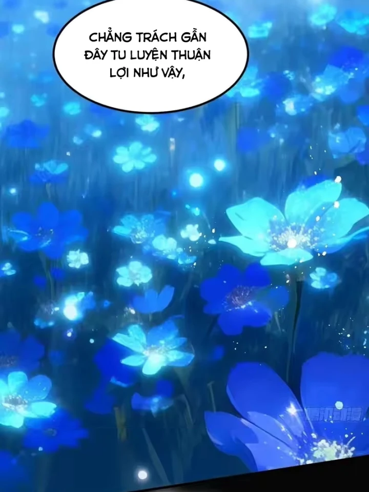 Người Khác Luyện Cấp Ta Tu Tiên, Tới Đại Thừa Kỳ Thì Rời Núi Chapter 51 - 22