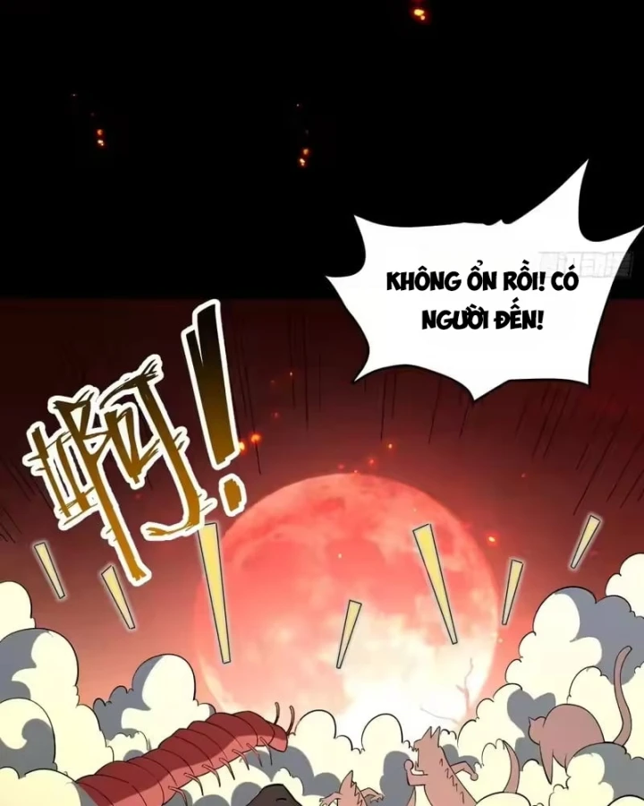 Người Khác Luyện Cấp Ta Tu Tiên, Tới Đại Thừa Kỳ Thì Rời Núi Chapter 52 - 88