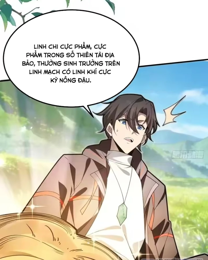 Người Khác Luyện Cấp Ta Tu Tiên, Tới Đại Thừa Kỳ Thì Rời Núi Chapter 54 - 31