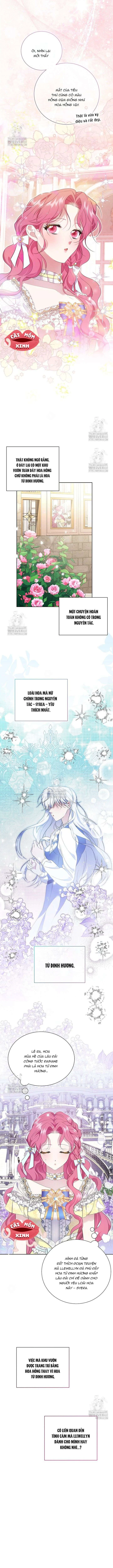 Khi Bị Nam Chính Dịu Dàng Nhưng Cố Chấp Ám Ảnh Chapter 24 - 2