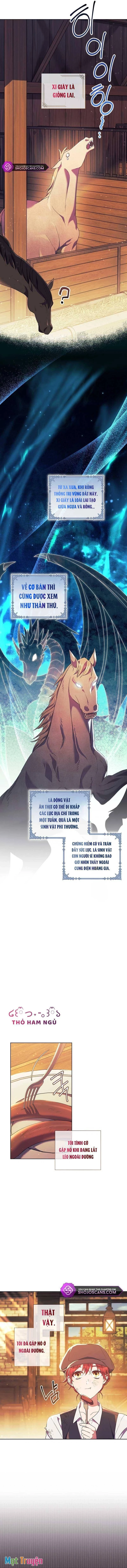 Sao Tôi Có Thể Li Hôn Khi Còn Chưa Kết Hôn Đây, Thưa Bệ Hạ Chapter 2 - 5