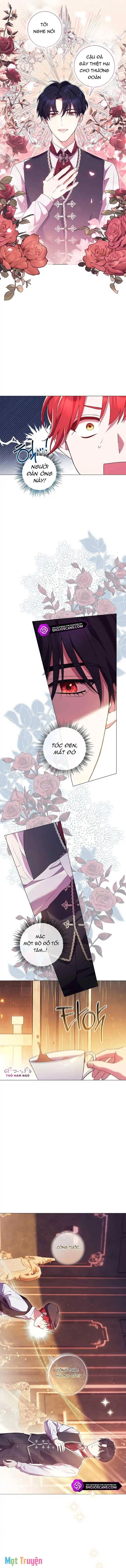 Sao Tôi Có Thể Li Hôn Khi Còn Chưa Kết Hôn Đây, Thưa Bệ Hạ Chapter 6 - 8