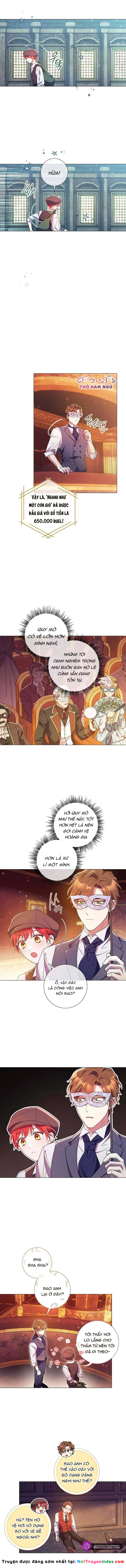 Sao Tôi Có Thể Li Hôn Khi Còn Chưa Kết Hôn Đây, Thưa Bệ Hạ Chapter 10 - 8