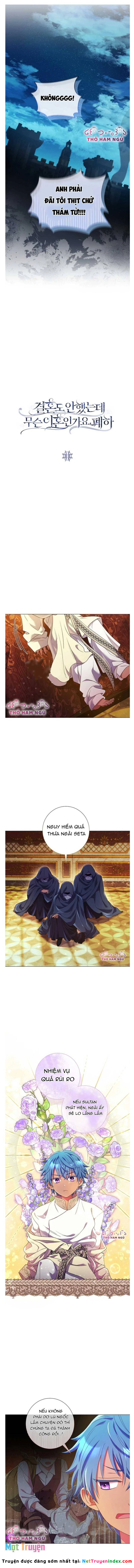 Sao Tôi Có Thể Li Hôn Khi Còn Chưa Kết Hôn Đây, Thưa Bệ Hạ Chapter 11 - 6