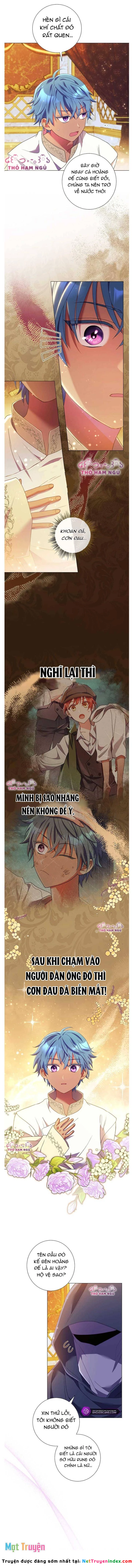 Sao Tôi Có Thể Li Hôn Khi Còn Chưa Kết Hôn Đây, Thưa Bệ Hạ Chapter 11 - 8