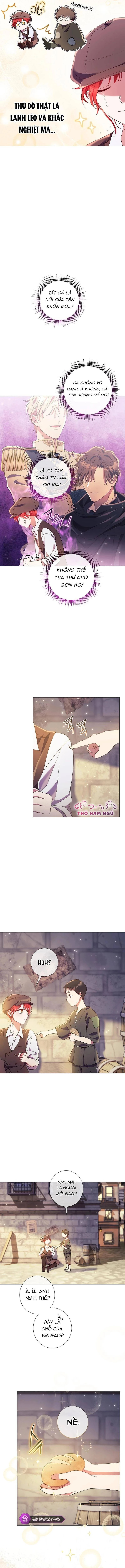 Sao Tôi Có Thể Li Hôn Khi Còn Chưa Kết Hôn Đây, Thưa Bệ Hạ Chapter 12 - 5