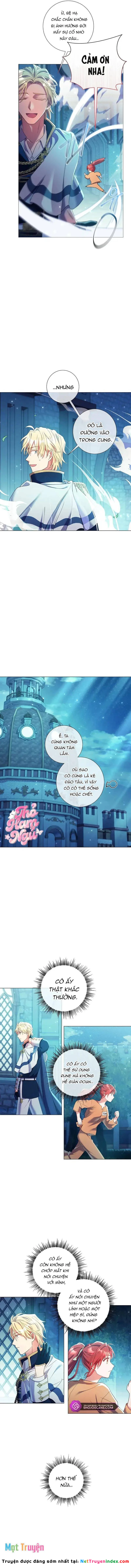 Sao Tôi Có Thể Li Hôn Khi Còn Chưa Kết Hôn Đây, Thưa Bệ Hạ Chapter 14 - 11