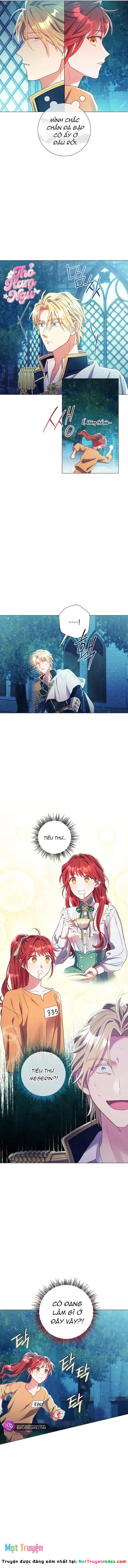 Sao Tôi Có Thể Li Hôn Khi Còn Chưa Kết Hôn Đây, Thưa Bệ Hạ Chapter 14 - 12