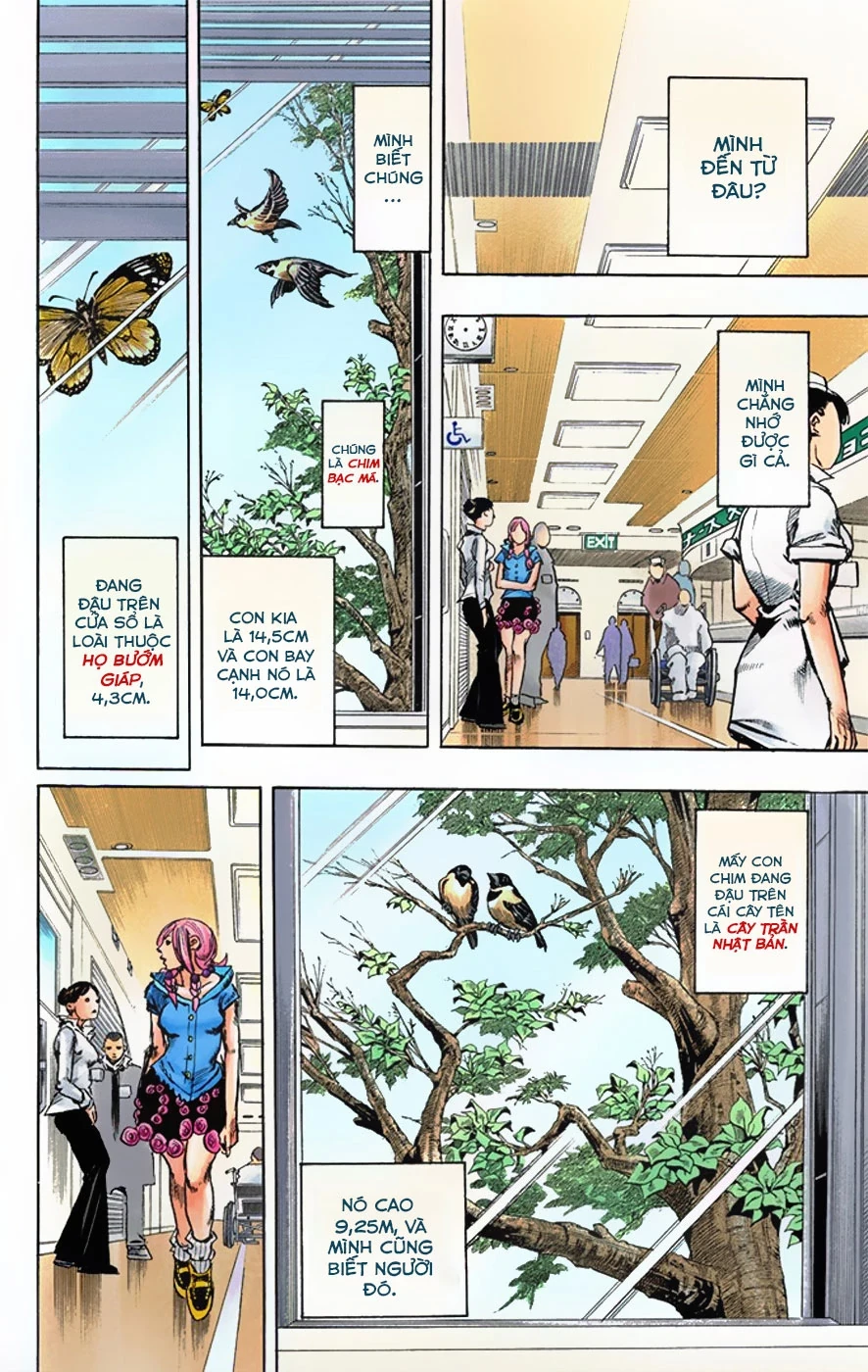 Cuộc Phiêu Lưu Kỳ Bí của JoJo Phần 8: Jojolion Chapter 2 - 4