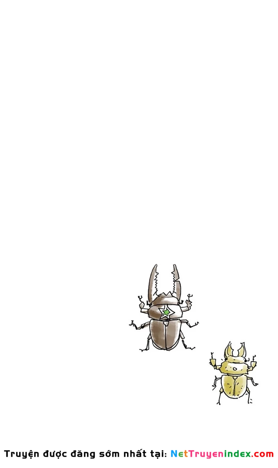 Cuộc Phiêu Lưu Kỳ Bí của JoJo Phần 8: Jojolion Chapter 37 - 42