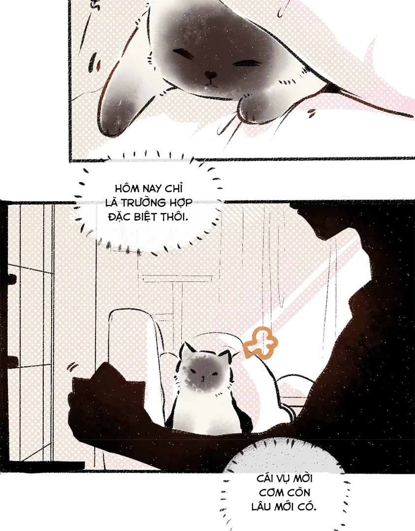 A God's Invitation To Eat Chapter 5 - 29