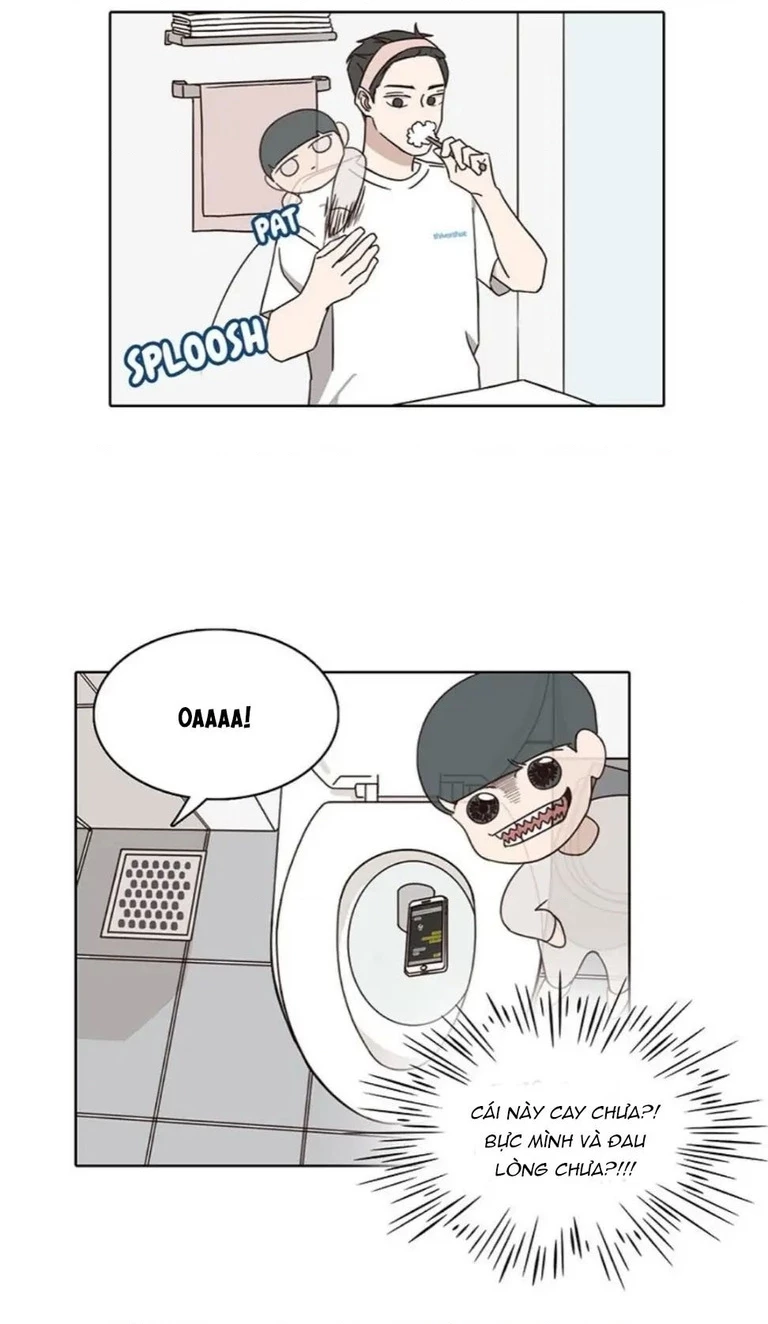 Bựa Cả Đôi Chapter 21 - 29