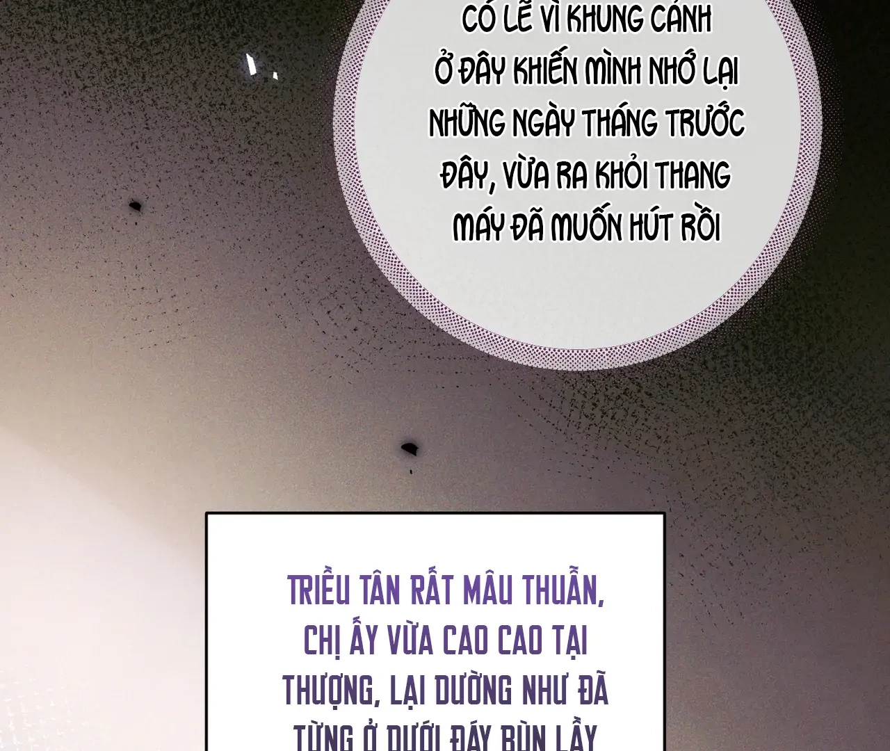 Vãn Triều Chapter 8 - 78