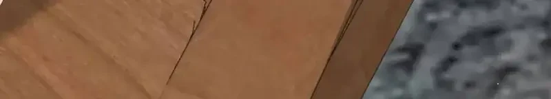 Vãn Triều Chapter 19 - 48