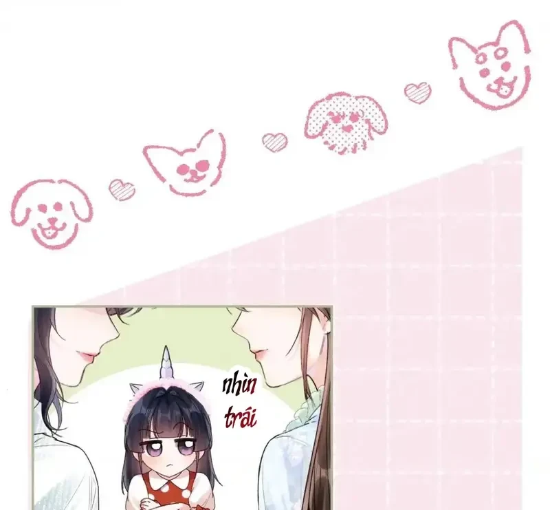 Vãn Triều Chapter 20 - 82