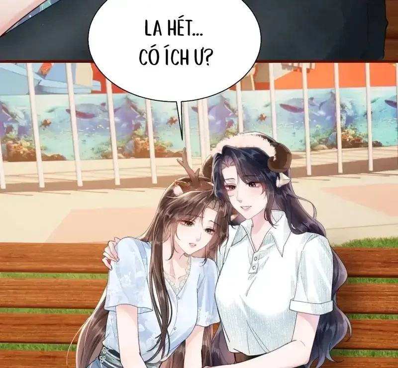 Vãn Triều Chapter 21 - 42