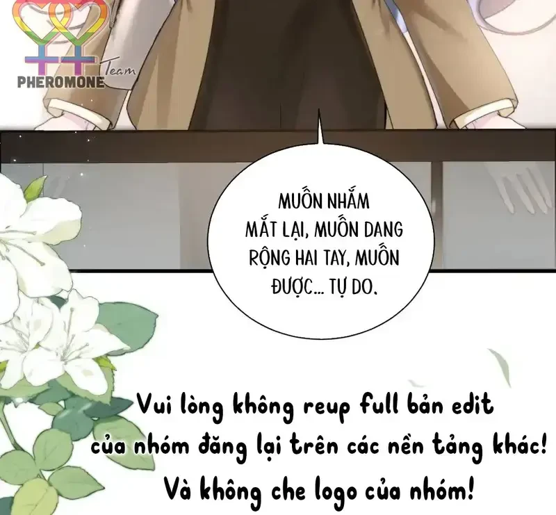 Vãn Triều Chapter 21 - 91