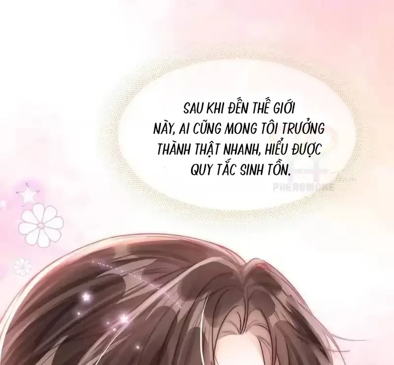 Vãn Triều Chapter 22 - 44