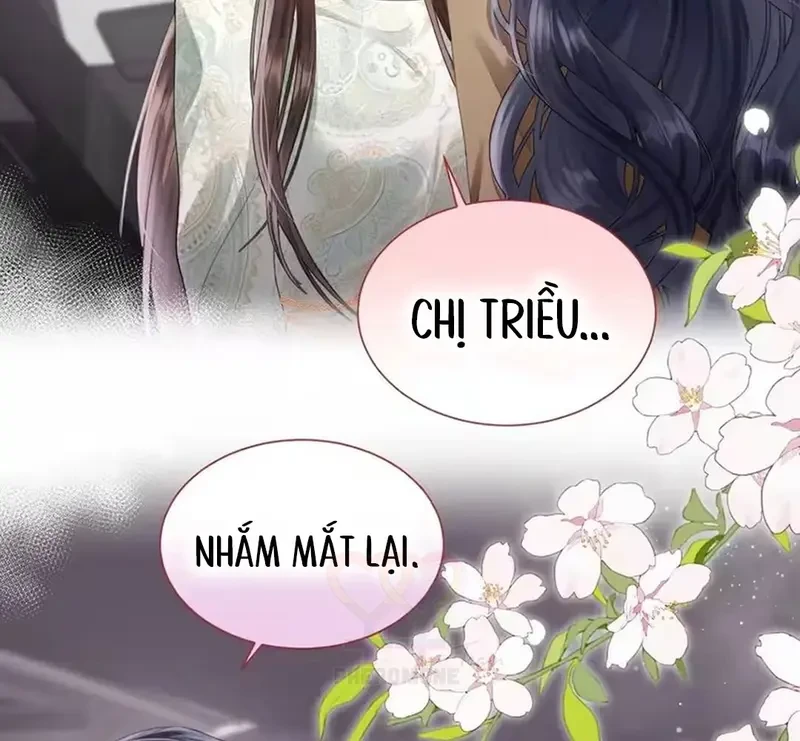 Vãn Triều Chapter 23 - 13