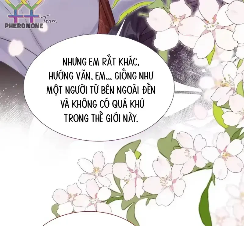 Vãn Triều Chapter 26 - 41